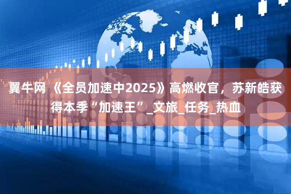 翼牛网 《全员加速中2025》高燃收官,苏新皓获得本季“加速王”_文旅_任务_热血