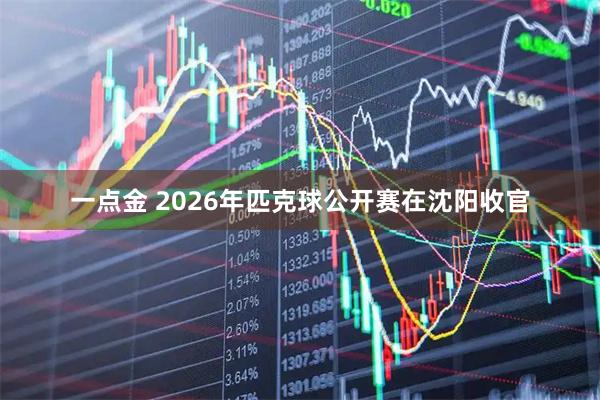一点金 2026年匹克球公开赛在沈阳收官