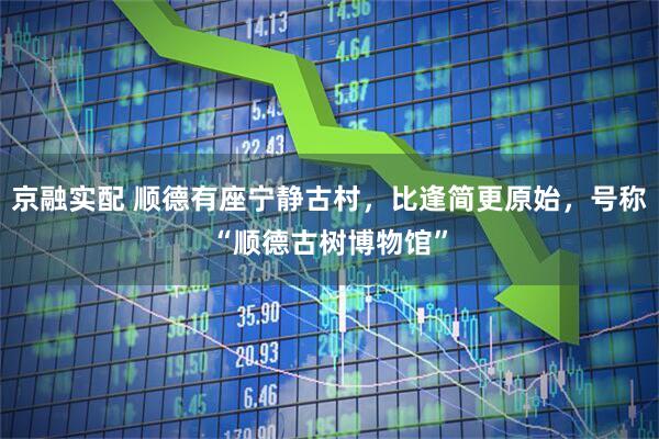 京融实配 顺德有座宁静古村，比逢简更原始，号称“顺德古树博物馆”