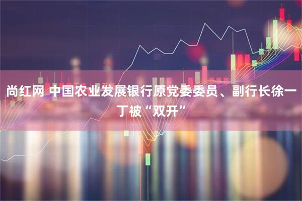 尚红网 中国农业发展银行原党委委员、副行长徐一丁被“双开”